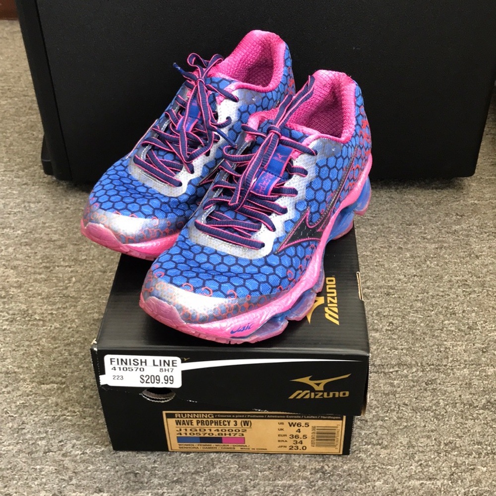 Mizuno wave prophecy 3